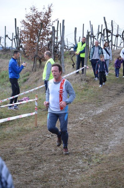 Tek Biljanski gri 269 i 367
